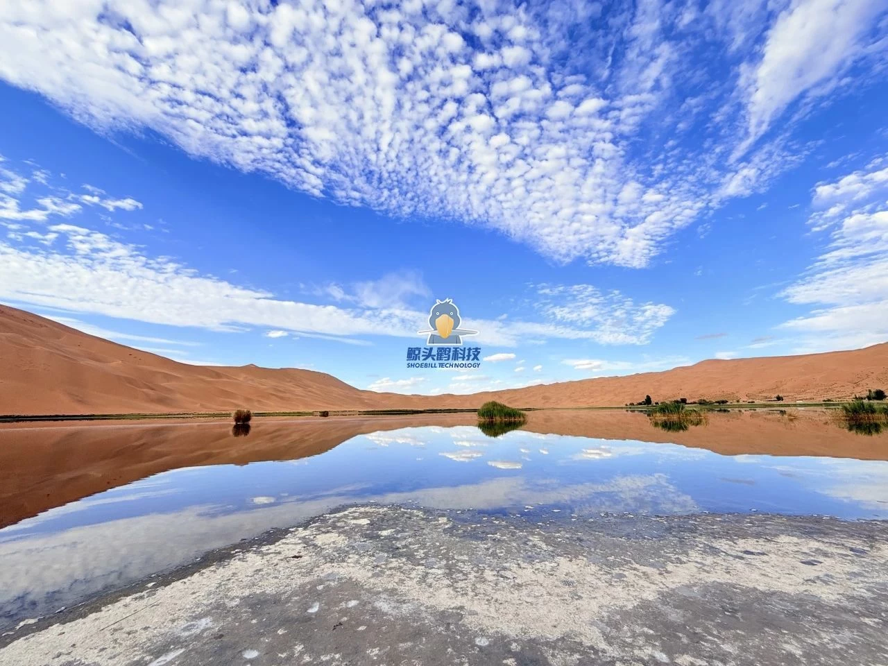 Отправляясь в самое сердце пустыни Отправляясь в самое сердце пустыни