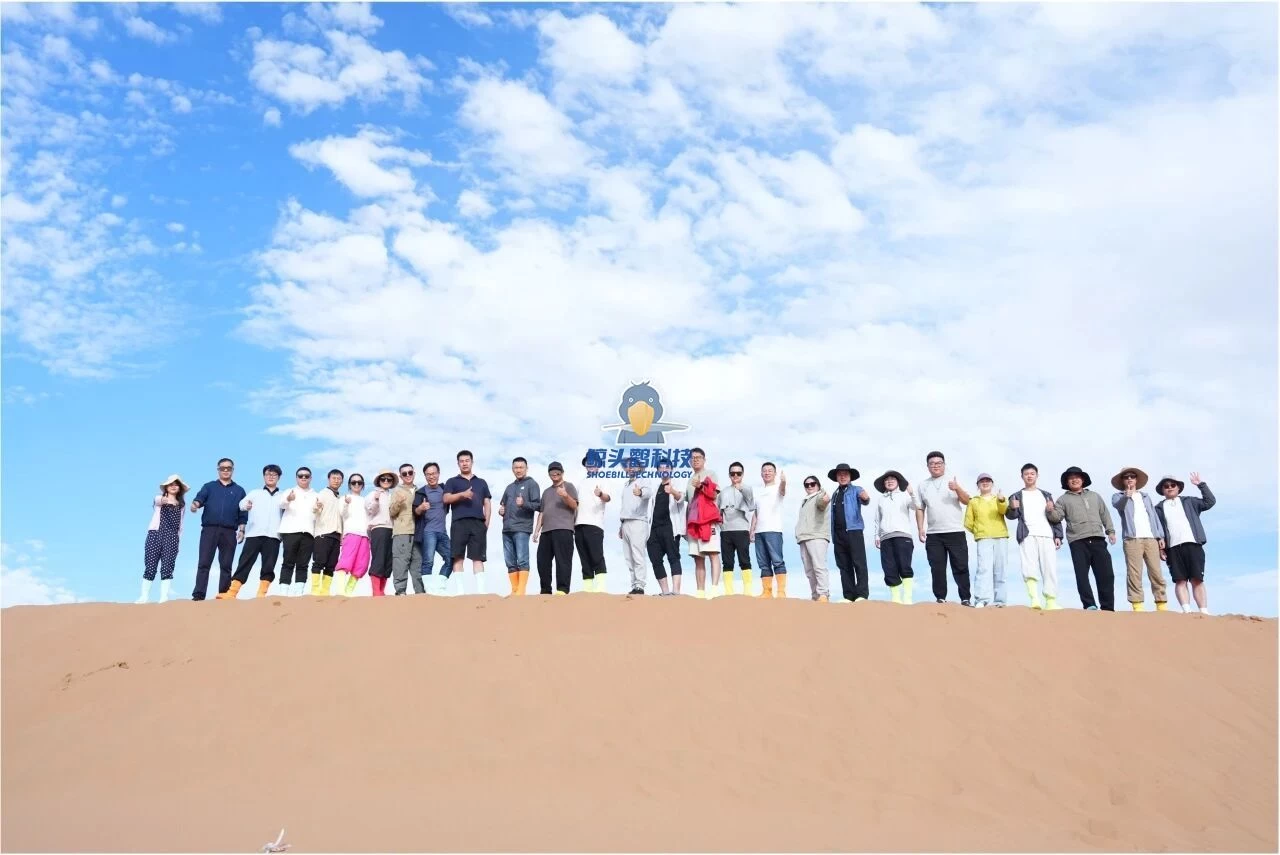 Технология Shoebill Технология Shoebill